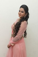 Himaja Photos at Shivam Audio Release